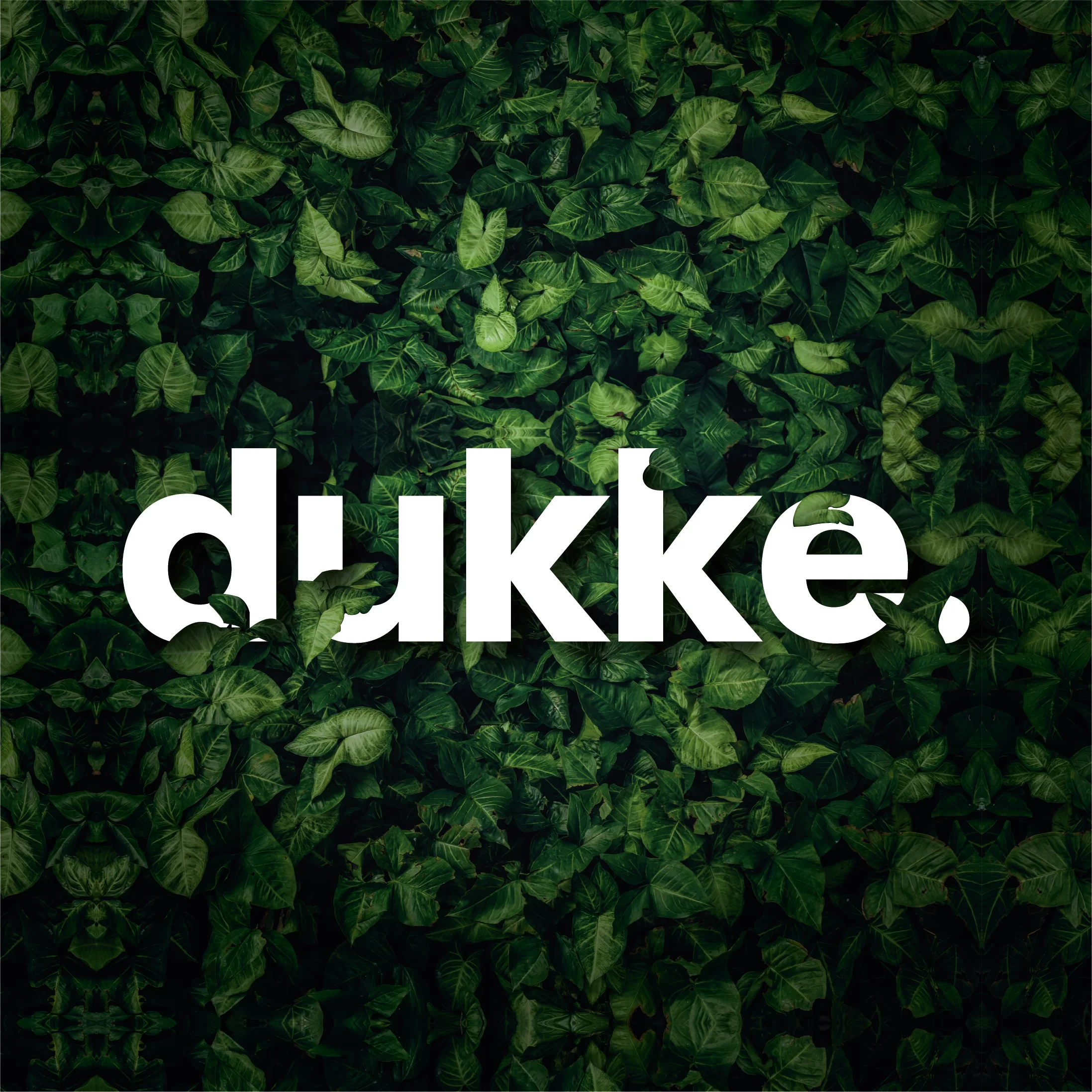 Dukke. logo